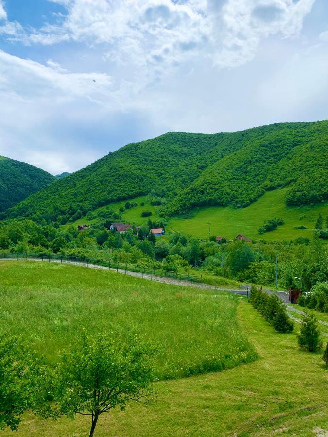 Rustic Cottage 시비우 외부 사진